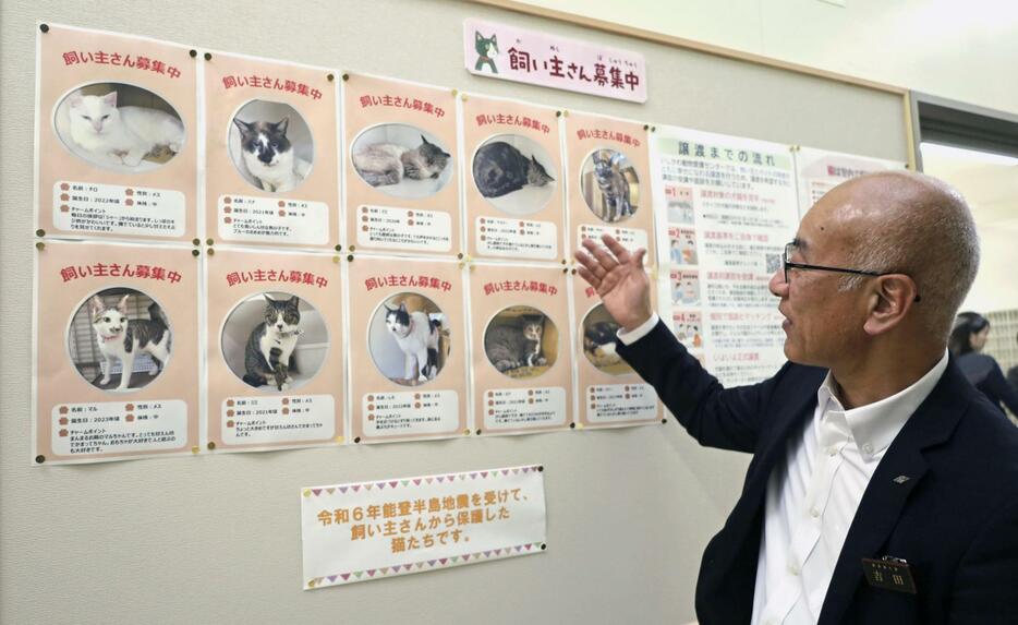 「いしかわ動物愛護センター」で保護されている猫の紹介をする石川県職員＝14日午後、石川県津幡町