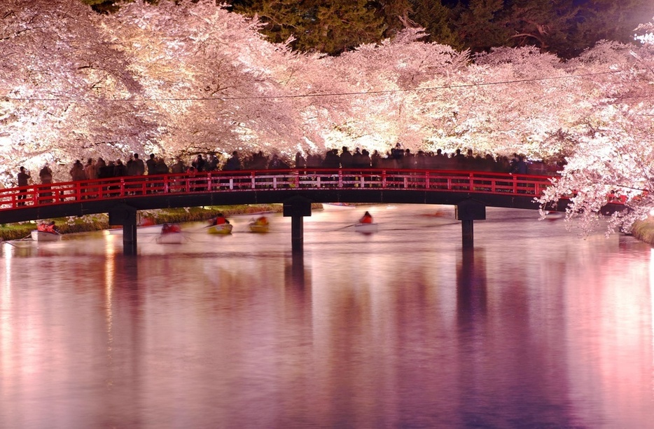 2022年4月、青森県弘前市の弘前公園で満開となった桜を楽しむ人たち。ライトアップされた満開の桜が堀の水面に反射し、幻想的な風景を見せた（8秒間露光）