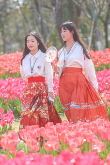 江西省南昌市のチューリップ畑を歩く馬面スカート姿の観光客たち（2024年3月12日撮影、資料写真）。