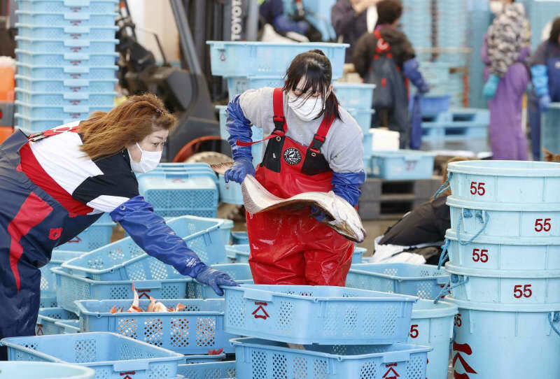 漁港で働く女性たち＝２０２１年、福島県（記事の内容とは無関係です）