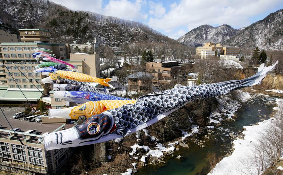 札幌市南区の定山渓温泉で始まった春の恒例行事「渓流鯉のぼり」＝2日午後
