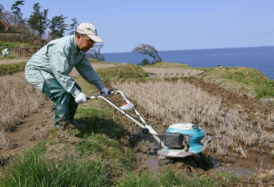 棚田「白米千枚田」で行われた田起こし作業＝1日午前、石川県輪島市