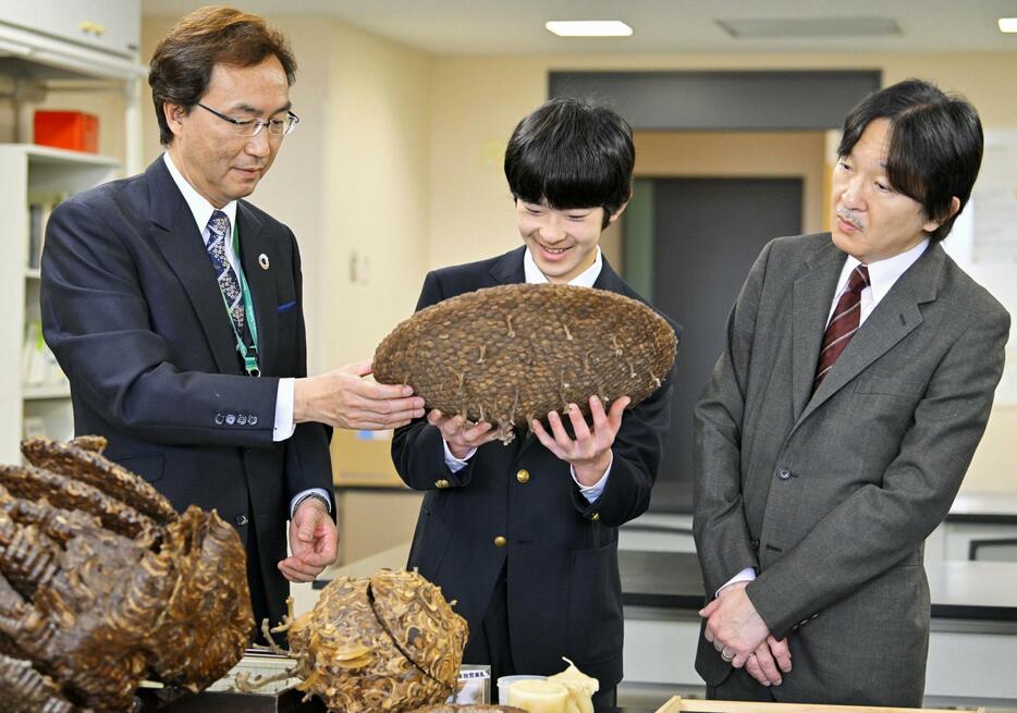 玉川大農学部の昆虫を研究する施設を視察される秋篠宮さまと悠仁さま＝6日午前、東京都町田市（代表撮影）