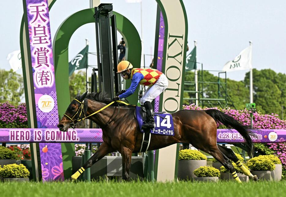 第169回天皇賞・春で優勝したテーオーロイヤル＝京都競馬場