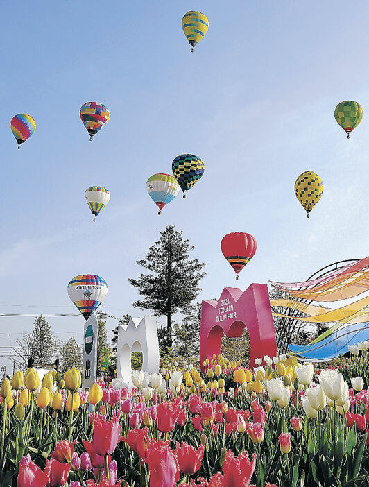 フェアの準備が進むチューリップ公園近くから空に上がる熱気球＝砺波市内