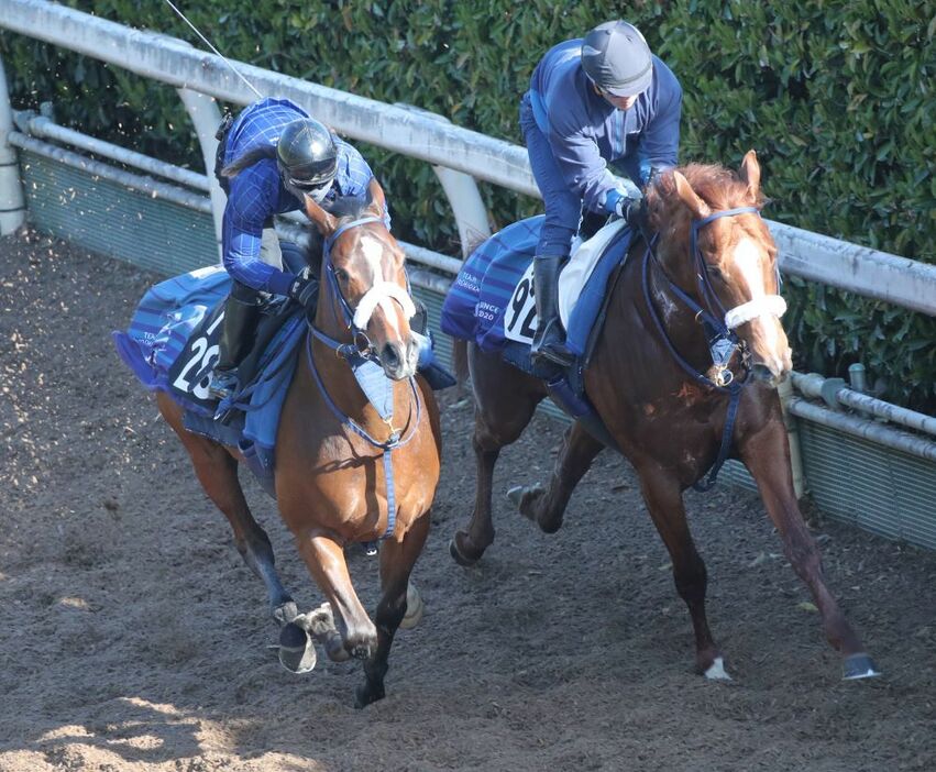 同舞台の前走を好時計で快勝しているディスペランツァ（左）