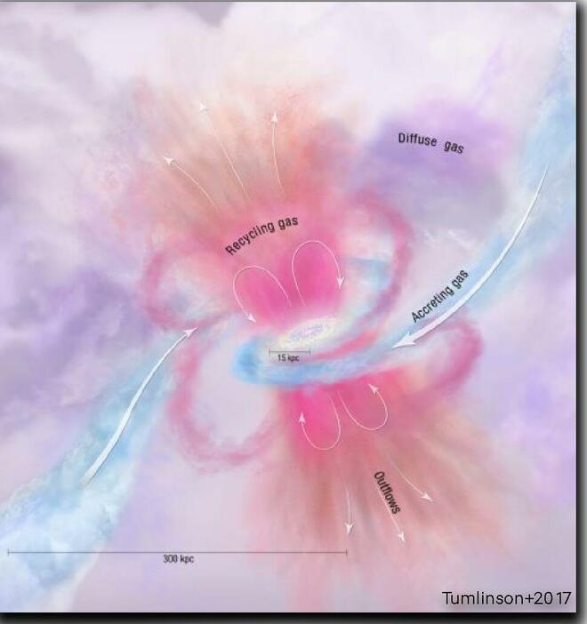 銀河周辺物質および流れを示す模式図
