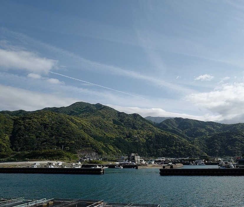 屋久島の美しい山に“綺麗な海”が必要である理由