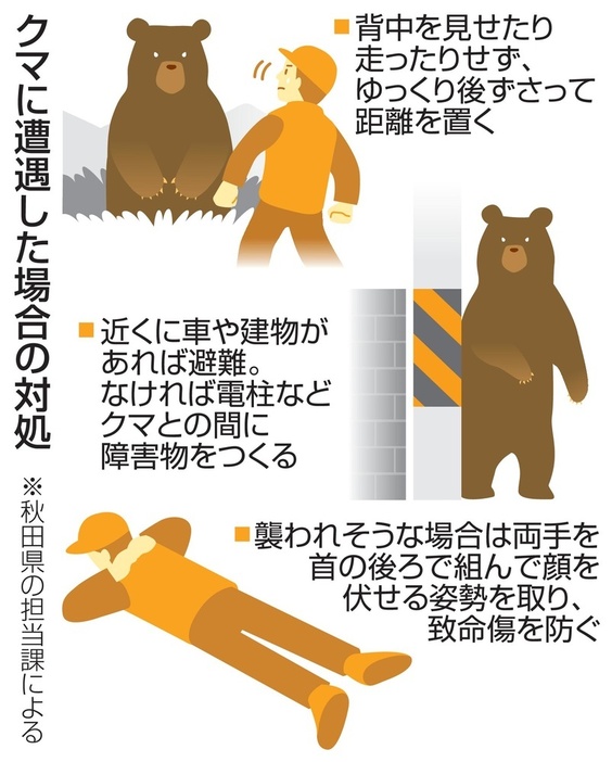 クマに遭遇した場合の対処