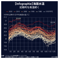 【Infographie】海面水温