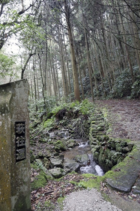 急勾配の山道も通る萩往還＝2月、山口県萩市