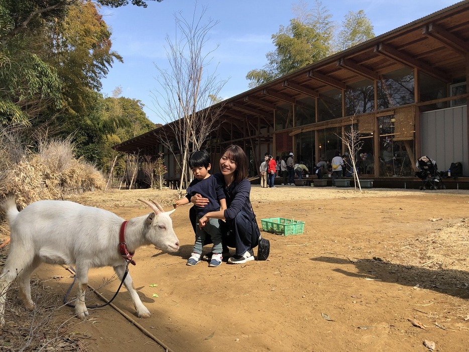 「いしいさん家」を訪れた親子。男の子は子ヤギの「ツノ子」にそっと近寄る