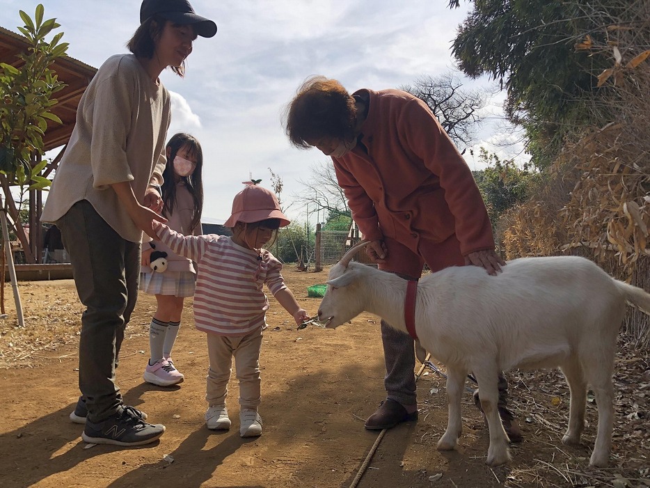 千葉県八千代市の高齢者向けデイサービス「52間の縁側のいしいさん家」ではヤギが飼われている