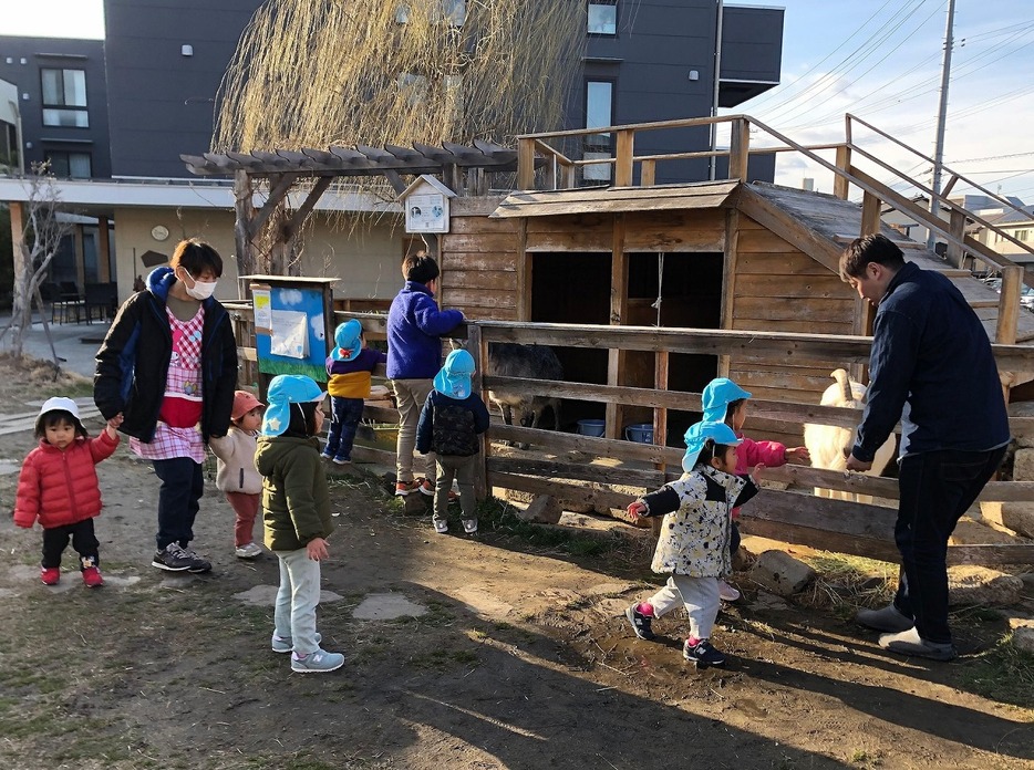 宮城県仙台市の福祉の複合施設「アンダンチ」。敷地内にある保育園の園児たちは2頭のヤギと日常的に触れ合う
