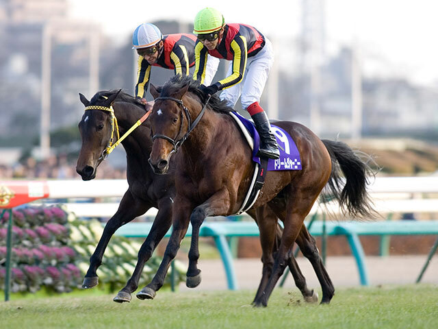 黄昏のプレデュード 有馬かな PR+ CXチャレンジ 優勝 カードリスト ｜ ヴァイスシュヴァルツ｜Weiβ Schwarz