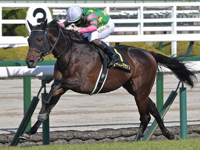 中山芝は前残りが顕著 単騎逃げジーティーアダマンの押し切りだ