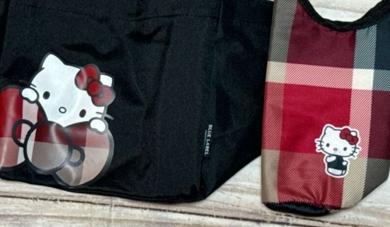 チェック柄が可愛すぎ！ハローキティの最新付録「豪華2点セット