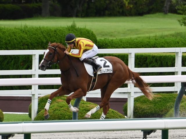 【エスポワールシチー】重賞馬券６枚セット(G1的中馬券含む／現地的中) エスポワールシチー】重賞馬券6枚セット(G1的中馬券含む／現地的中)