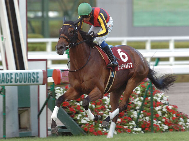 まねき馬　レインボー　ジェンティルドンナ まねき馬 レインボー ジェンティルドンナ