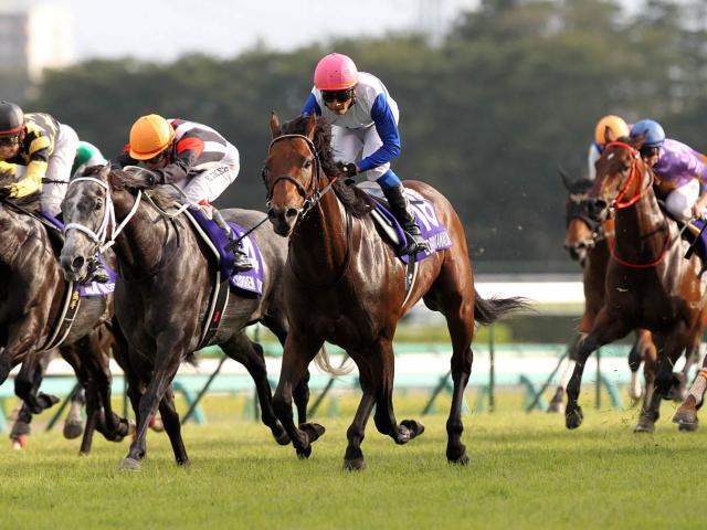 【8/15迄】ロードカナロア スプリンターズS 記念ジャージ 龍王 XL 競馬 2012年 スプリンターズステークス（GⅠ） | ロードカナロア