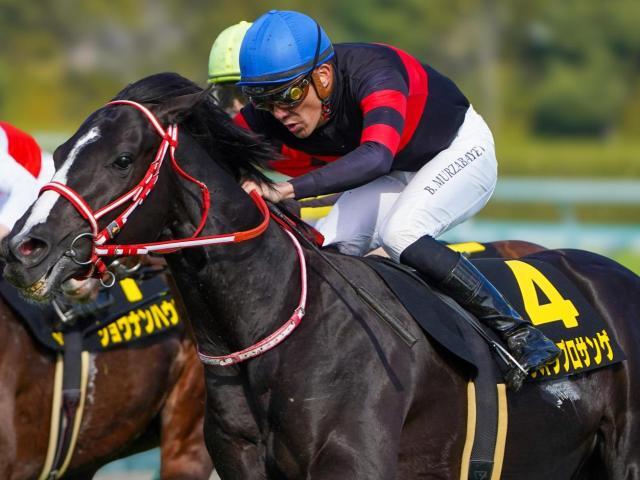 黄昏のプレデュード 有馬かな PR+ CXチャレンジ 優勝 カードリスト ｜ ヴァイスシュヴァルツ｜Weiβ Schwarz