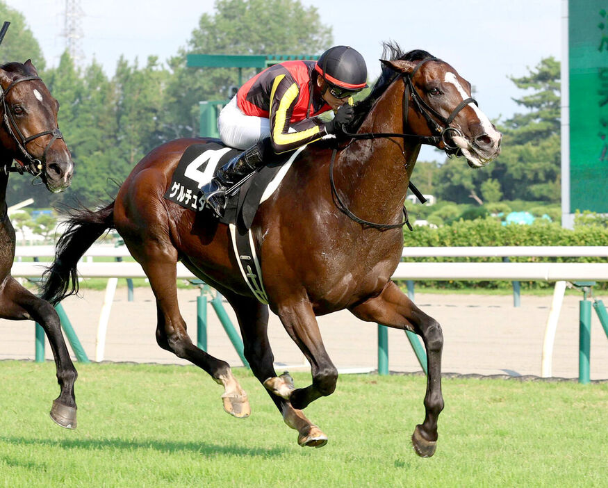 【現地的中】単勝馬券 2021年 菊花賞 タイトルホルダー 4番人気1着！ DSXZQO1190601024102021000000-1