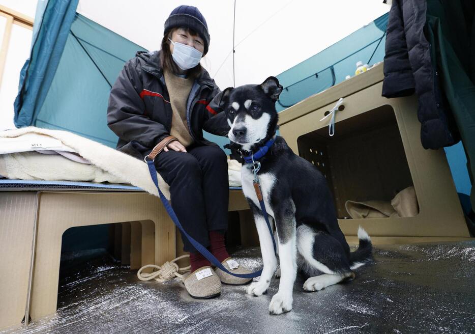 ペットの同伴が可能な石川県珠洲市の避難所で、愛犬マルと過ごす八木一代さん＝1月