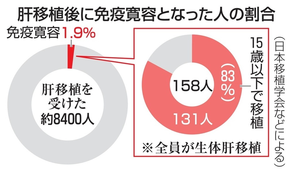 肝移植後に免疫寛容となった人の割合