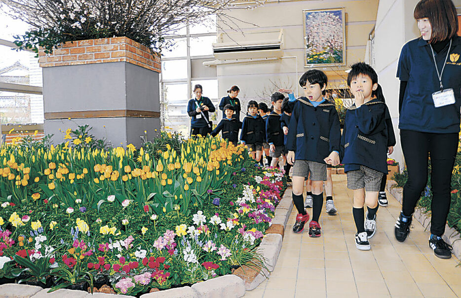 早春の花々を楽しむ園児ら来場者＝砺波市の県花総合センター