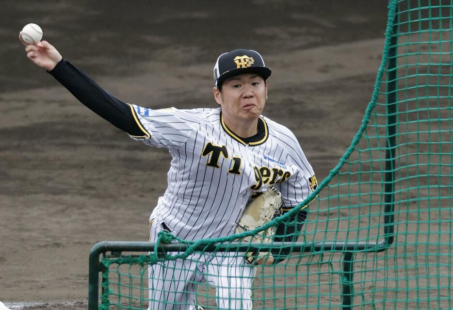 フリー打撃に登板した阪神・西勇＝宜野座