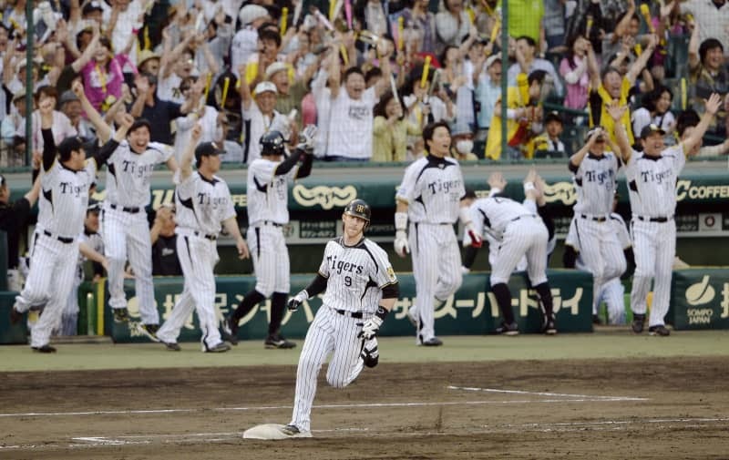 ２０１３年６月９日、ロッテ戦の９回、逆転サヨナラ２ランを放ち一塁をまわる阪神・マートンと喜ぶベンチ＝甲子園