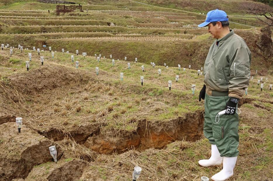 地震で棚田に生じた大きなひび割れを見つめる白米千枚田愛耕会の白尾友一代表＝8日午前、石川県輪島市