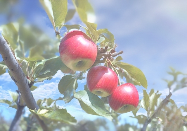 家の庭でりんごが落ちるのを見て、「万有引力の法則」のヒントを得たというニュートン。