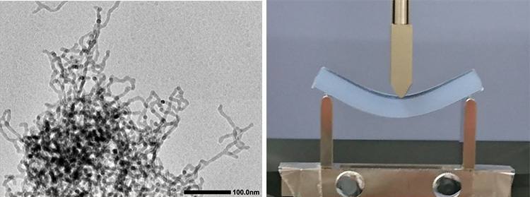 （左）繊維状の骨格が絡み合った構造の顕微鏡画像、（右）曲げる力に耐える柔軟性を確認した実験（いずれも京都大学提供）