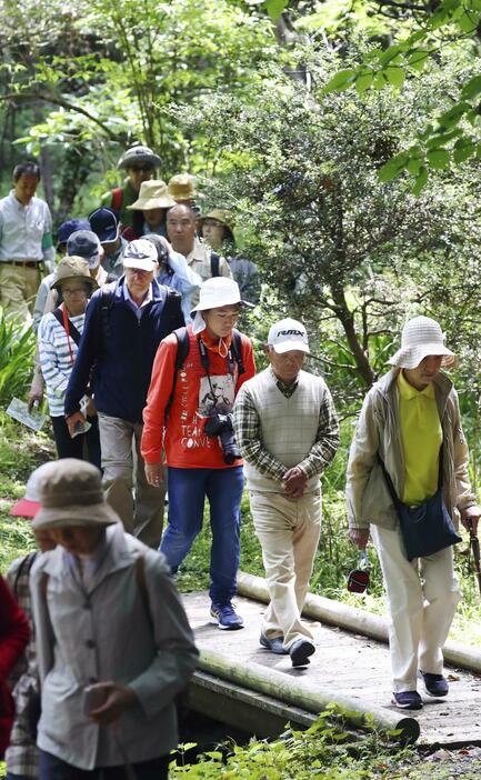 皇居・吹上御苑で開かれた自然観察会で、散策する参加者＝2019年5月