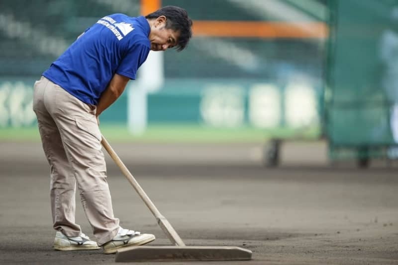 試合を前に甲子園球場のグラウンドを整備する阪神園芸の金沢健児さん＝２０２３年９月