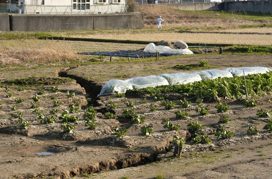 石川県輪島市の亀裂が生じた畑＝13日