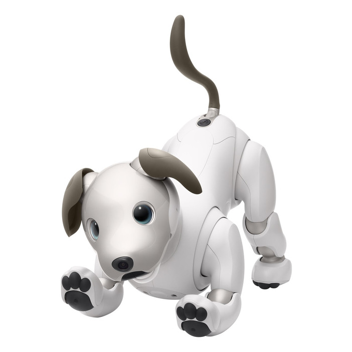 ソニーグループの犬型ロボット「aibo（アイボ）」（同社提供）