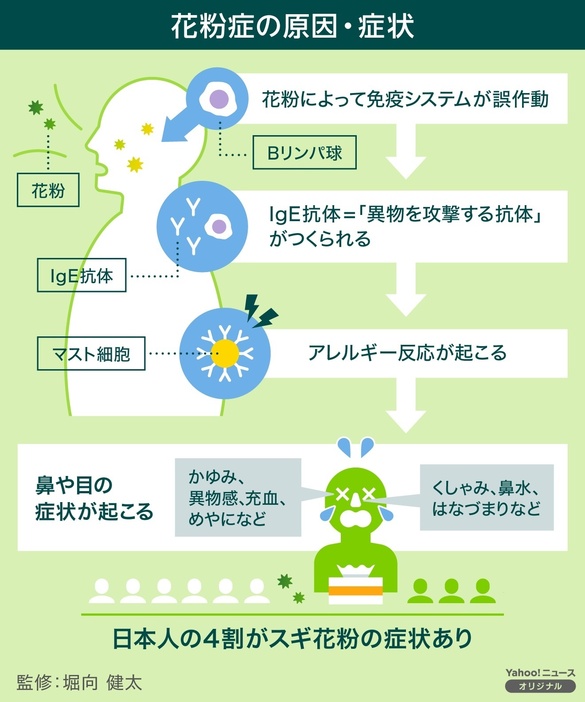 [図解]花粉症の原因・症状