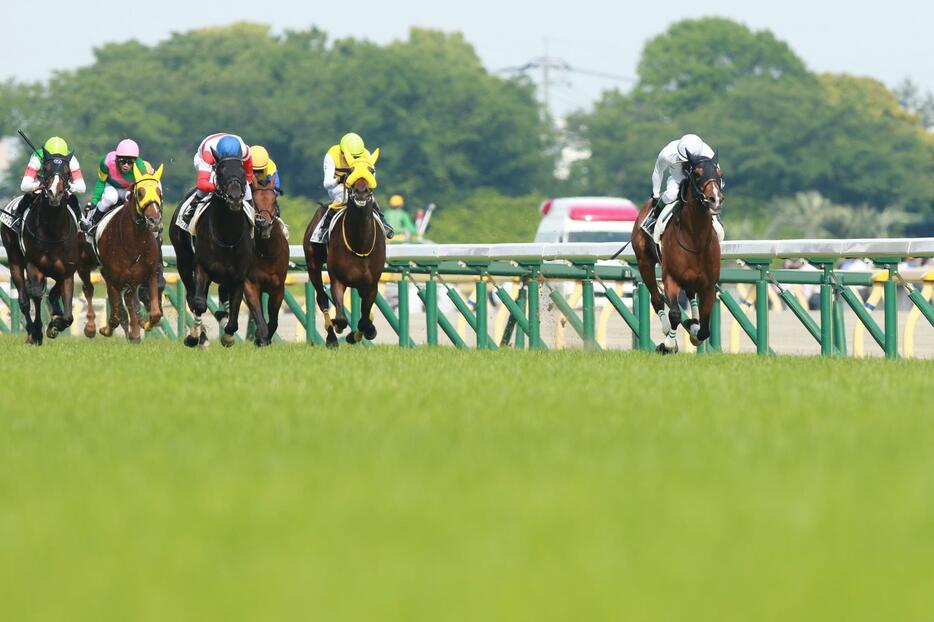 日本ダービーは11万人もの観客が集まり盛り上がったが、禁止薬物騒動で大量の出走除外馬が出てファンは大混乱（写真：伊藤 康夫/アフロ）