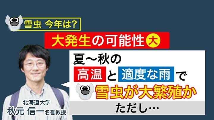 大発生の背景にある「天候条件」