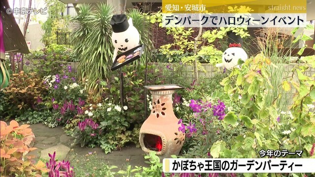 中京テレビNEWS