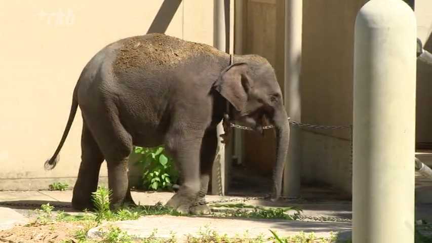 RKB毎日放送