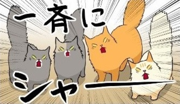 飼い主の見た目がどのくらい変わったら威嚇してくるのか？