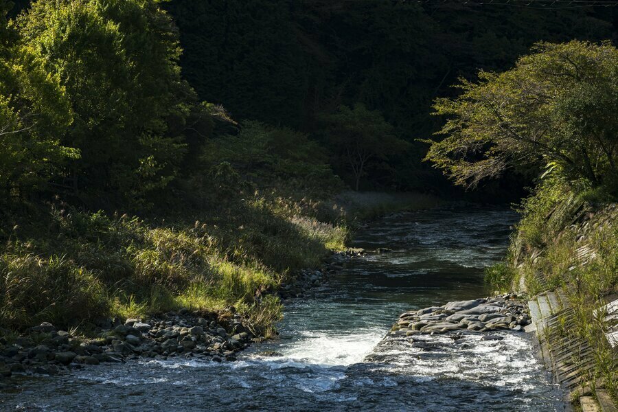 低くなった秋の光が渓へと差し込むと、明暗のコントラストが際立ちます