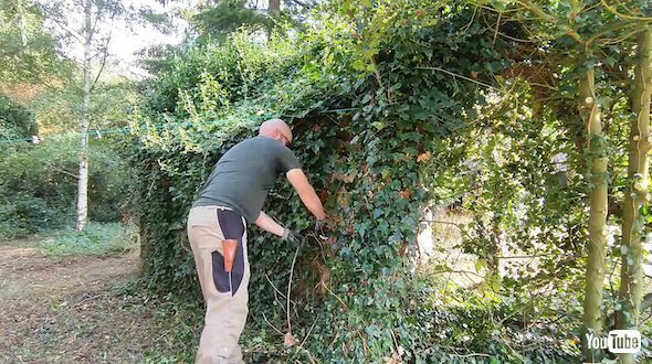 ツタにおおわれた小屋