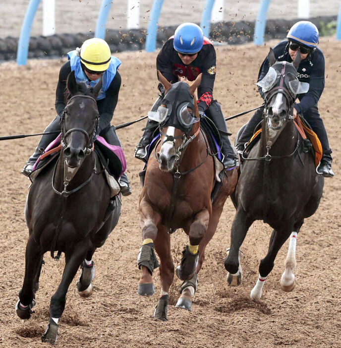 Ｗコースで追い切ったアーバンシック（中、カメラ・荒牧　徹）