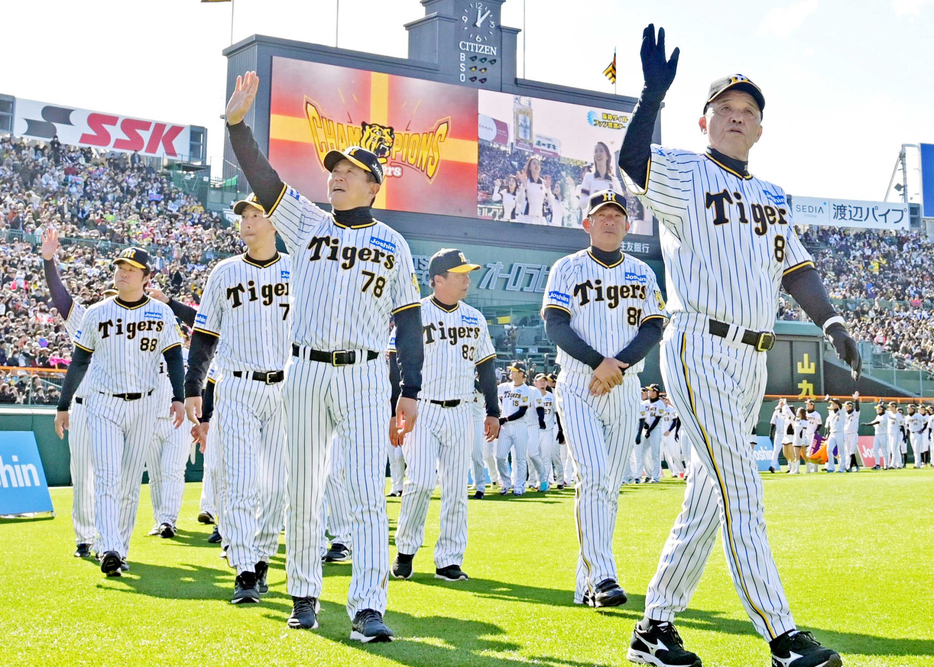 　ファン感謝デーのオープニングで場内を一周する岡田監督（手前）ら阪神ナイン（２０２３年１１月２５日撮影）