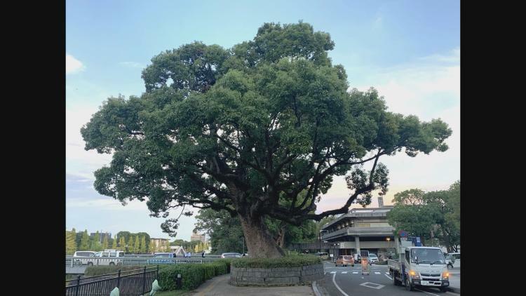 提供元：九州朝日放送