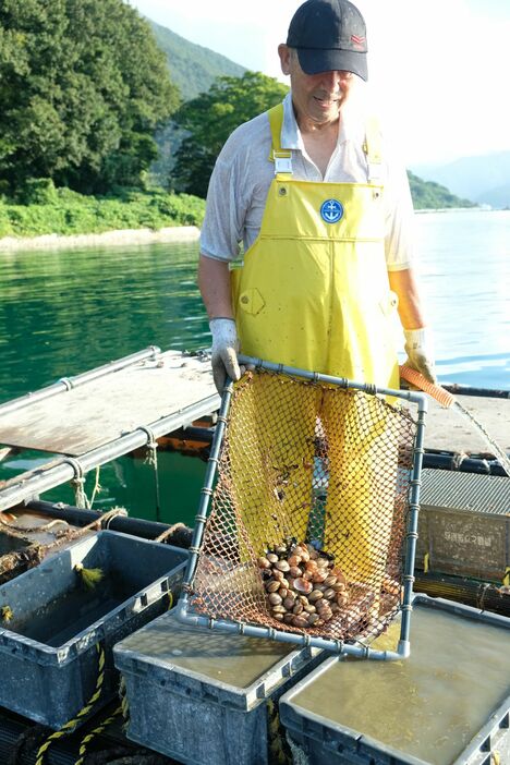 養殖トリガイのコンテナの入れ替え作業をする川﨑さん。今年は高水温の影響で死んだ貝や成長の鈍い貝が多いという（京都府舞鶴市・舞鶴湾）